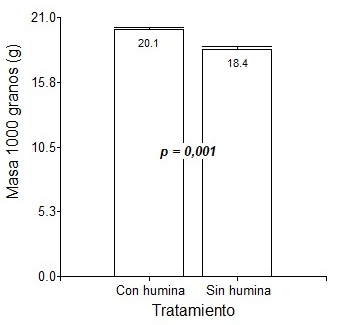 Imagen que contiene Diagrama El contenido generado por IA puede ser incorrecto.